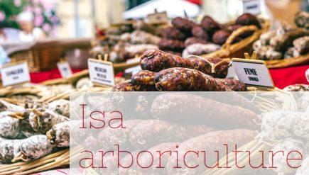 variety of food