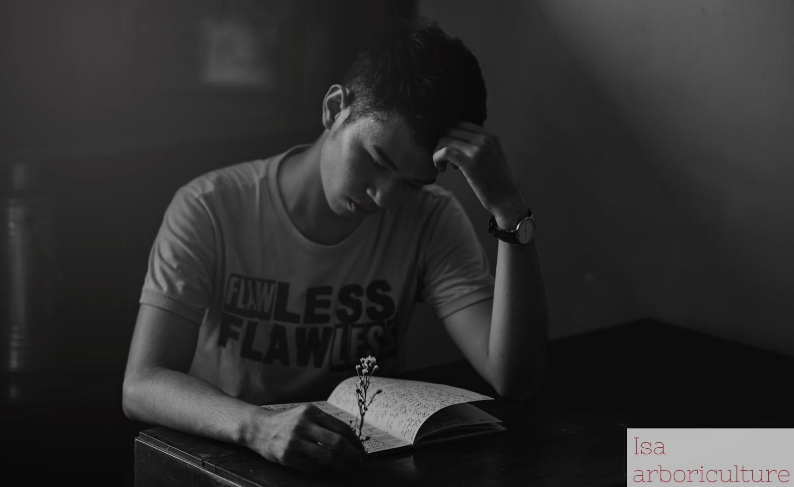 Leyendo
