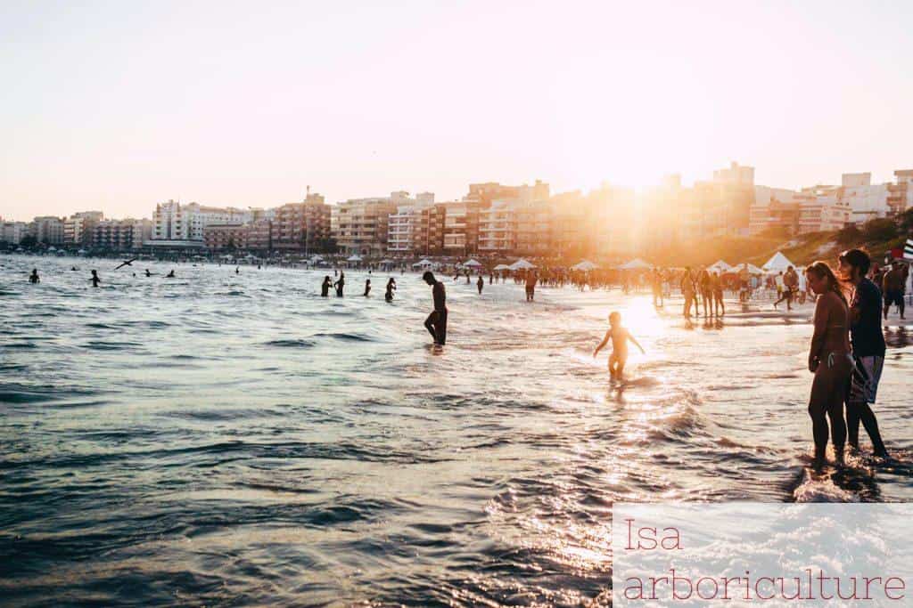 playa