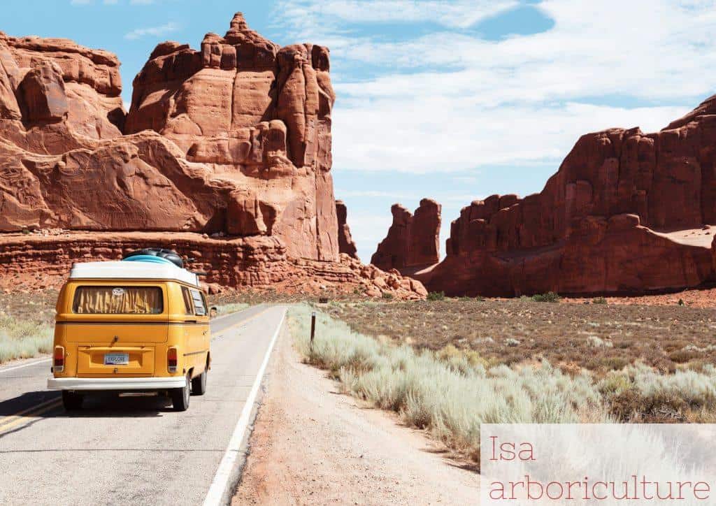 Los mejores consejos para viajar solo