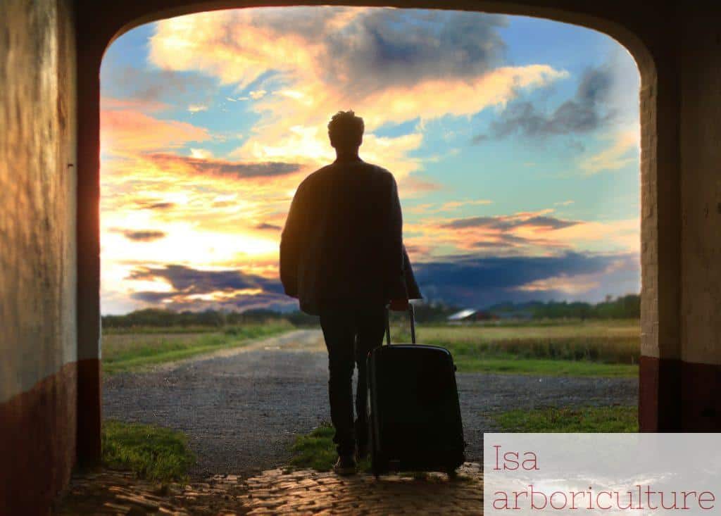 Flexibilidad y adaptabilidad viaje