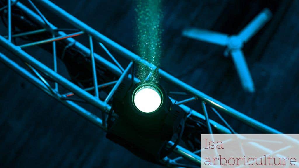luces cegadoras o blinding lights