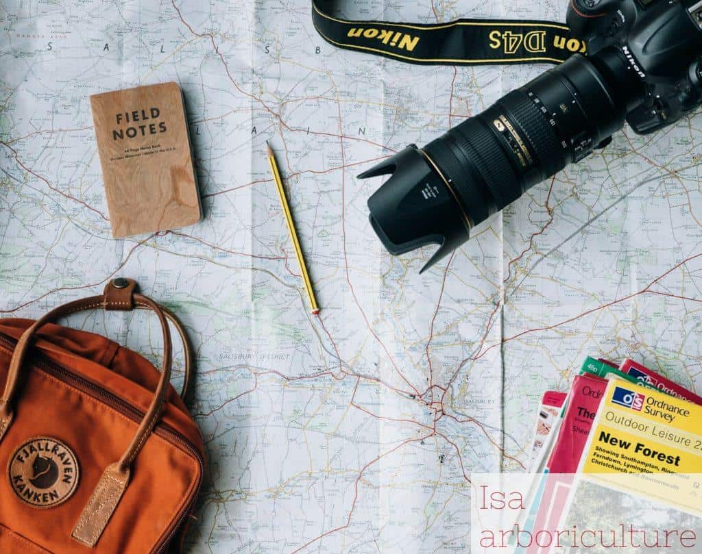 Planificación y preparación del viaje