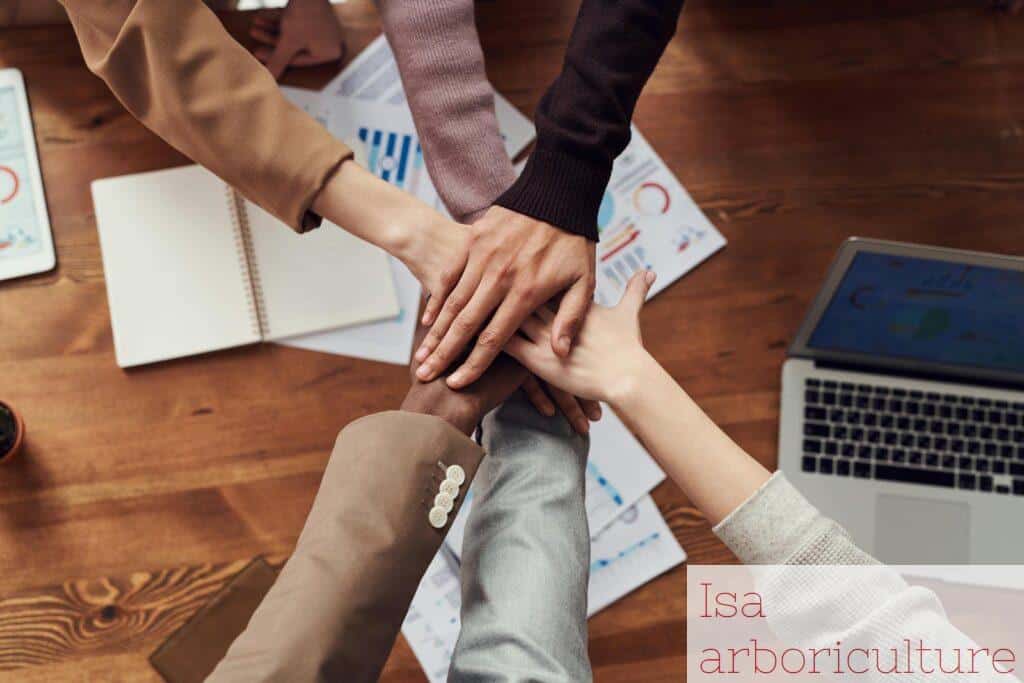 equipo de trabajo