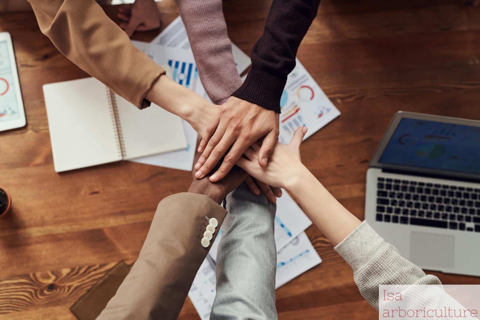 equipo de trabajo
