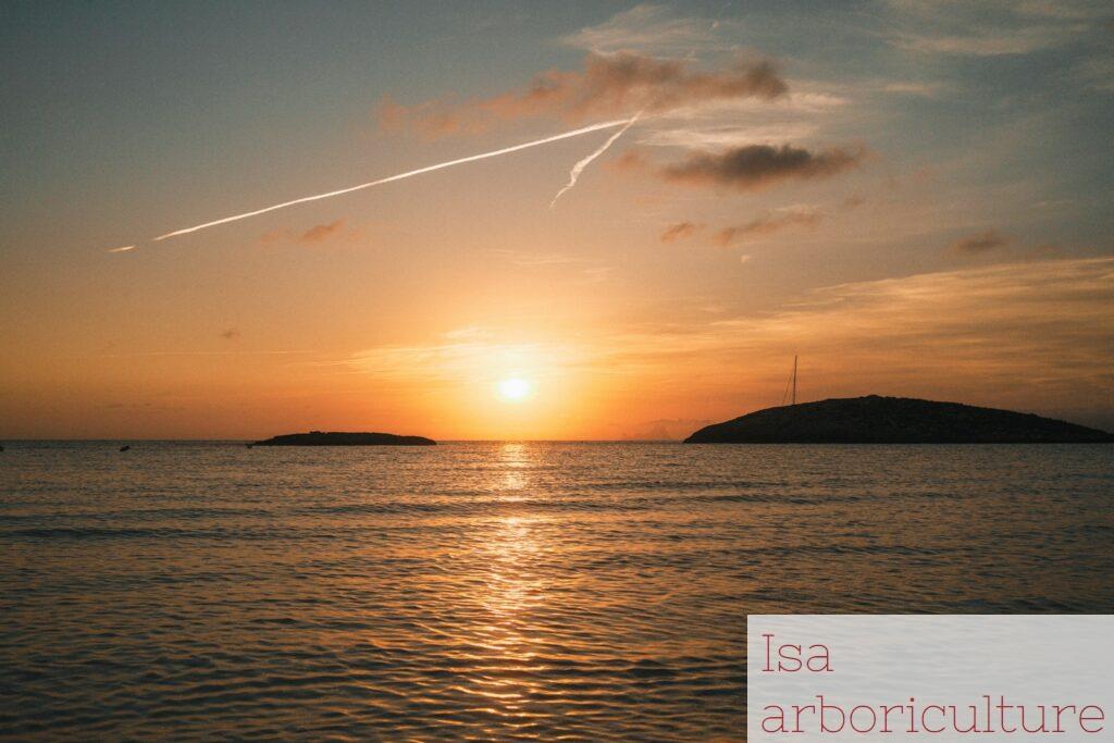 ¿Dónde ver la puesta de sol en Ibiza?