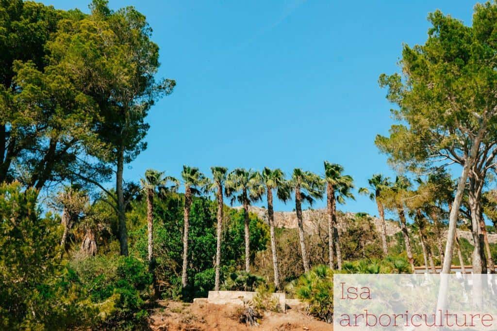 Qué ver y qué hacer en Colonia de Sant Pere