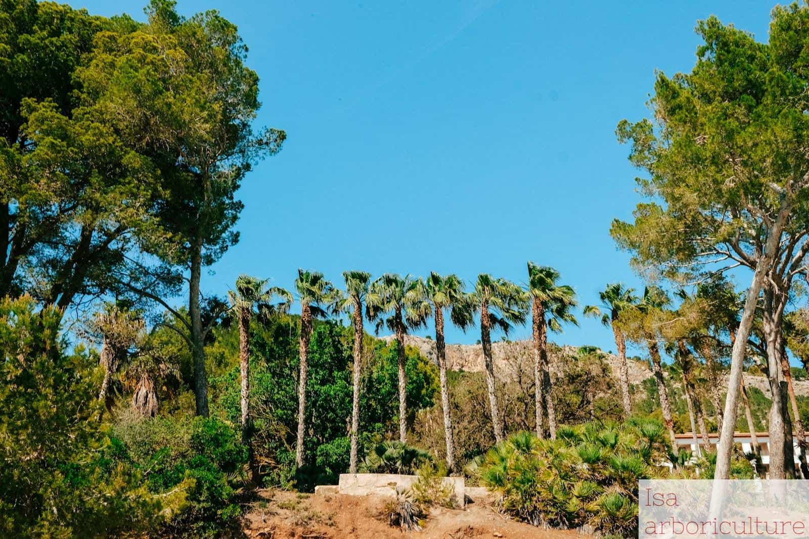 Qué ver y qué hacer en Colonia de Sant Pere