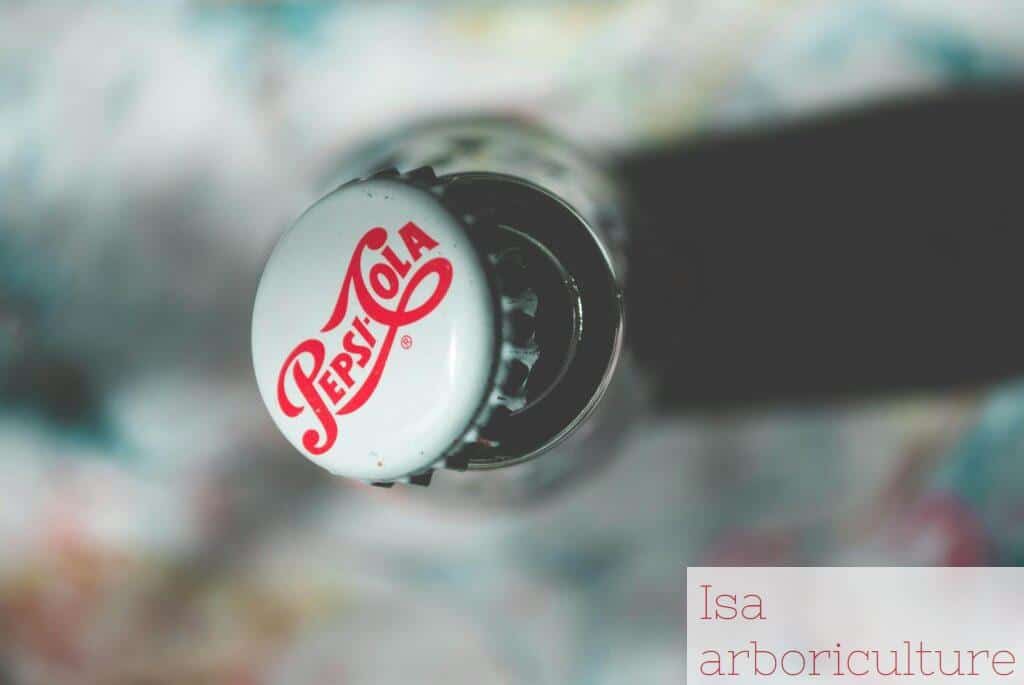 pepsi cola