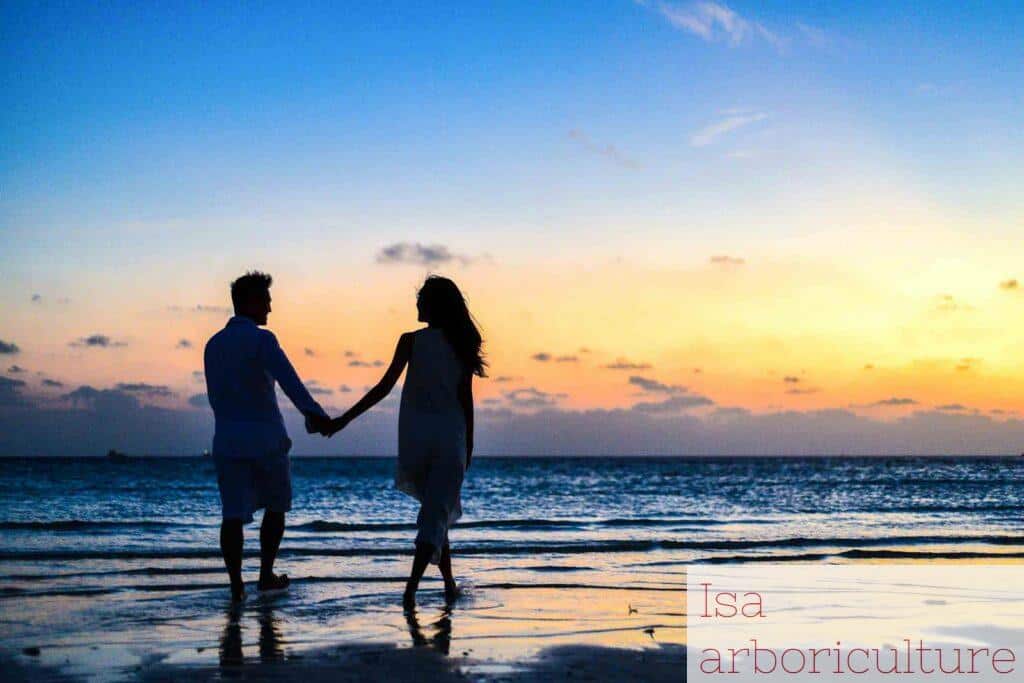 relación de pareja sana y feliz