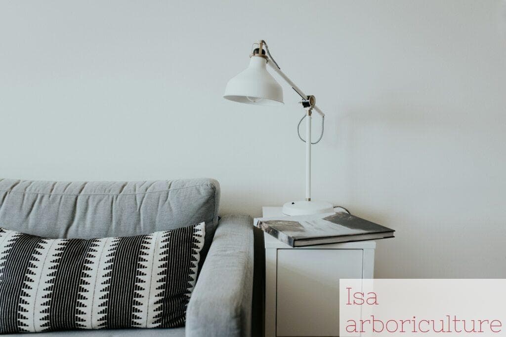 decoracion 