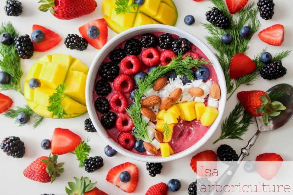 frutas verano