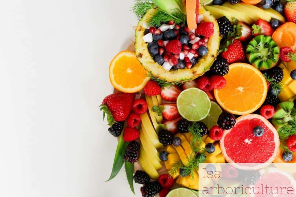 diferentes frutas de verano