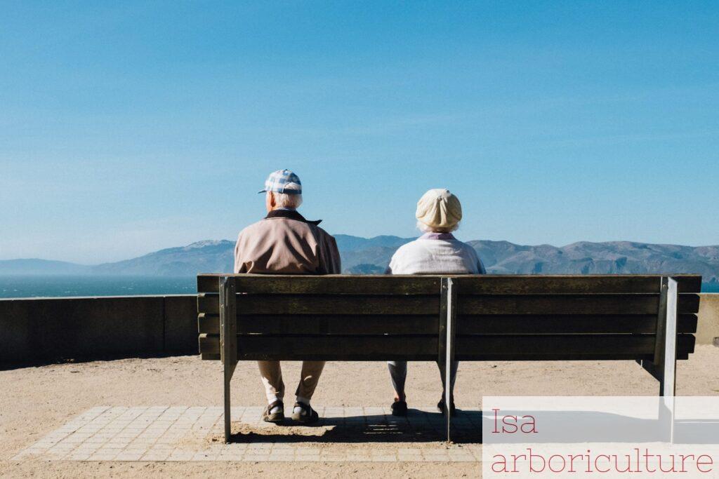 Consejos para cuidar ancianos en verano