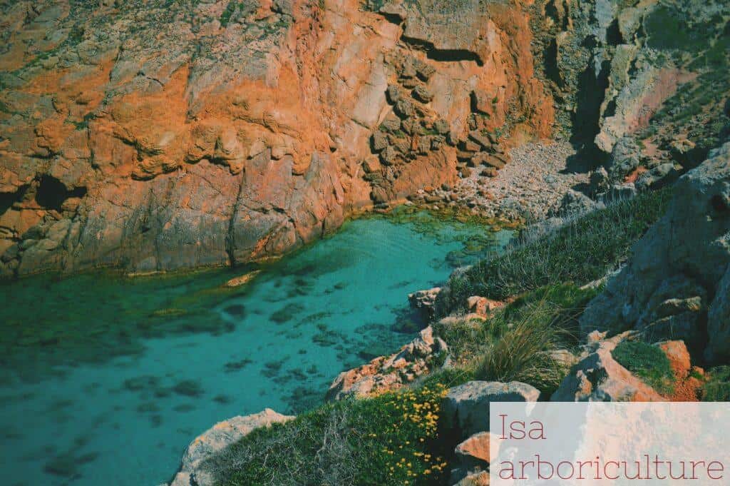 Escapadas premium: disfrutar de experiencias exclusivas en Menorca