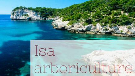 Escapadas premium: dónde disfrutar de experiencias exclusivas en Menorca