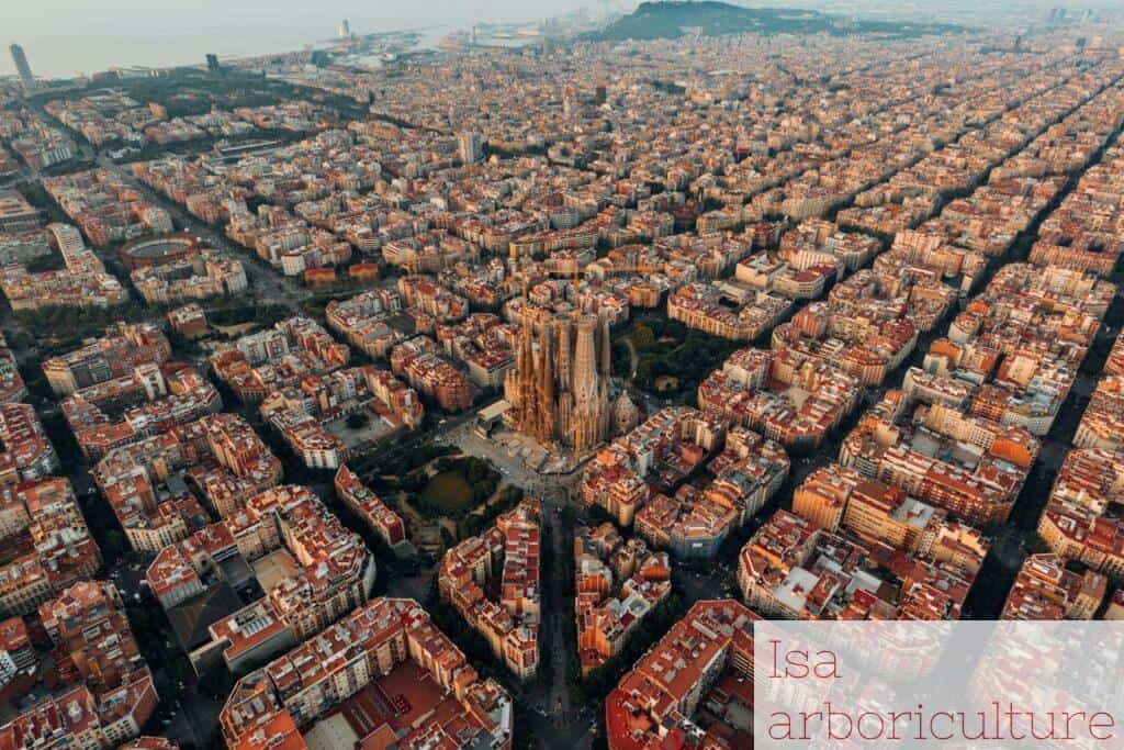 top 10 experiencias barcelona