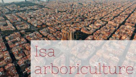 top 10 experiencias barcelona