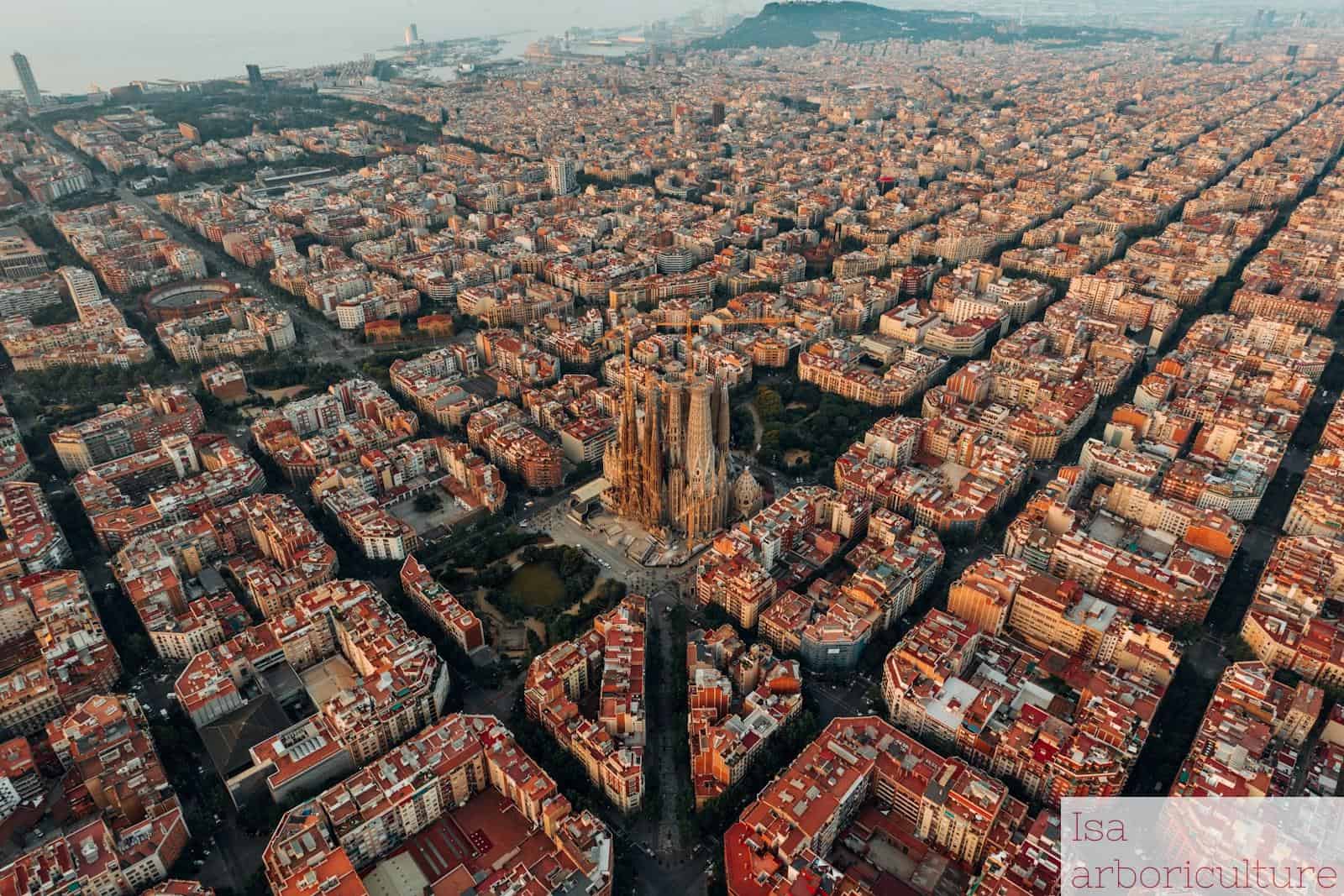 top 10 experiencias barcelona