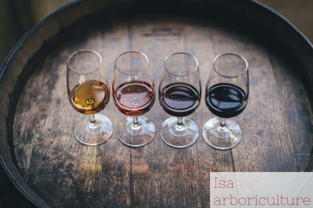 Beneficios consumo moderado de vino 