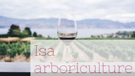 Beneficios del consumo moderado de vino para la salud