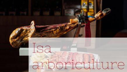 Cómo cortar jamón como un profesional
