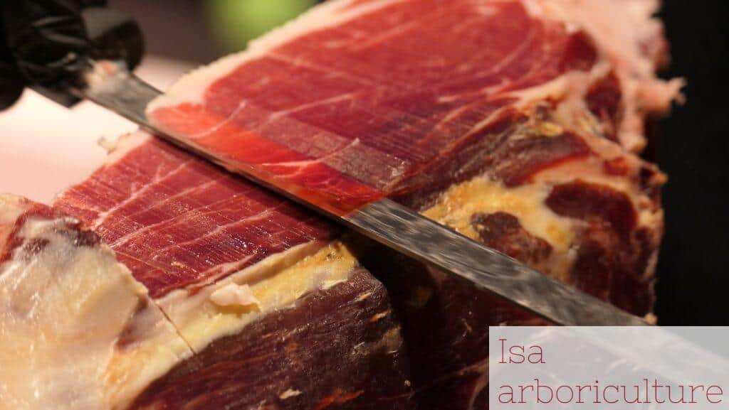cortar jamón como profesional