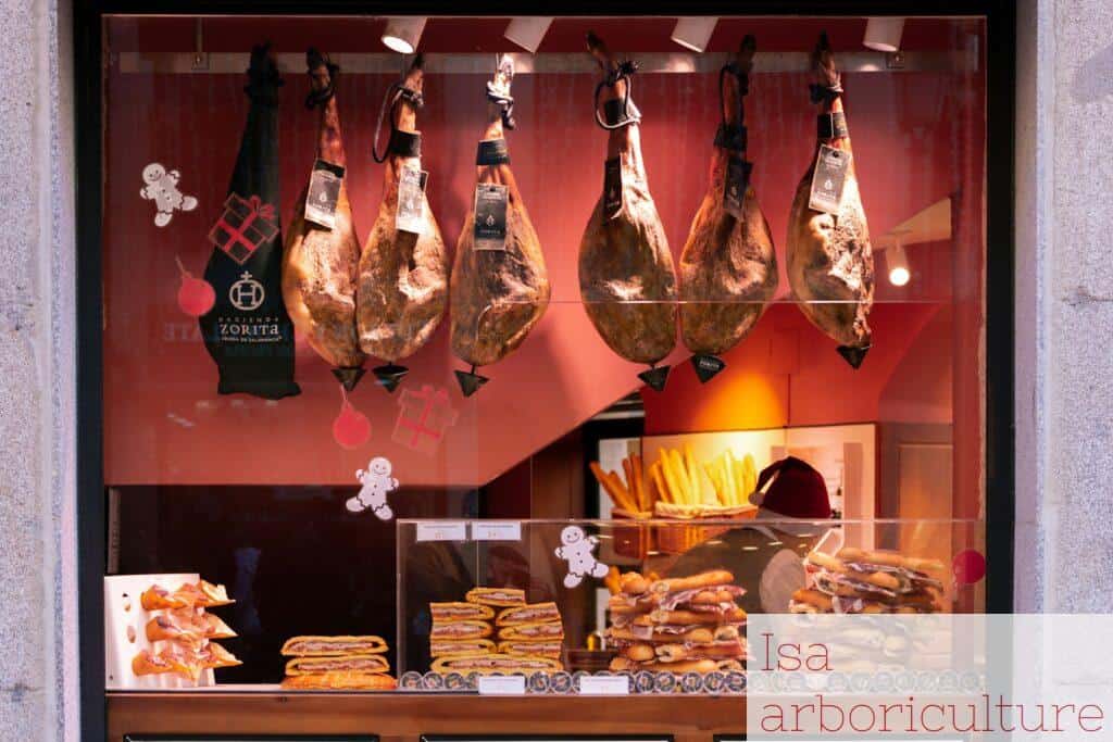 cortar jamón como un profesional