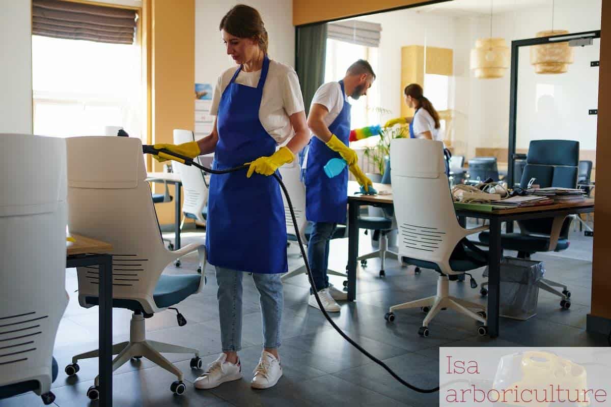 personal servicio limpieza profesional