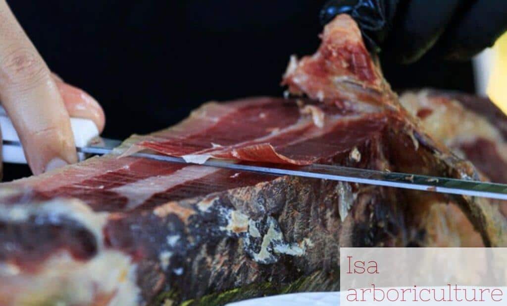 cortador de jamon