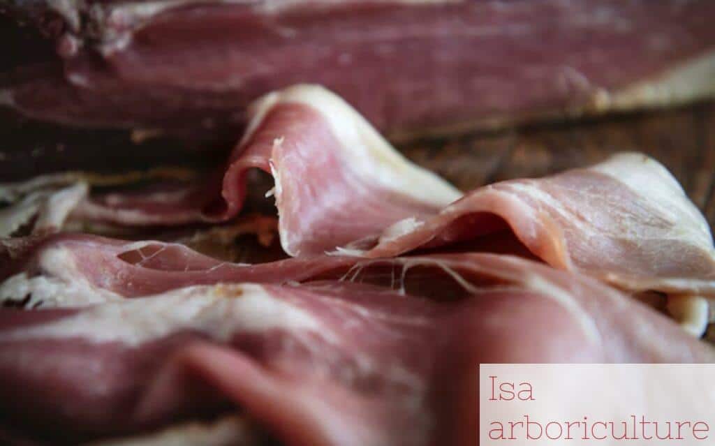 jamon iberico para cortador de jamon para eventos