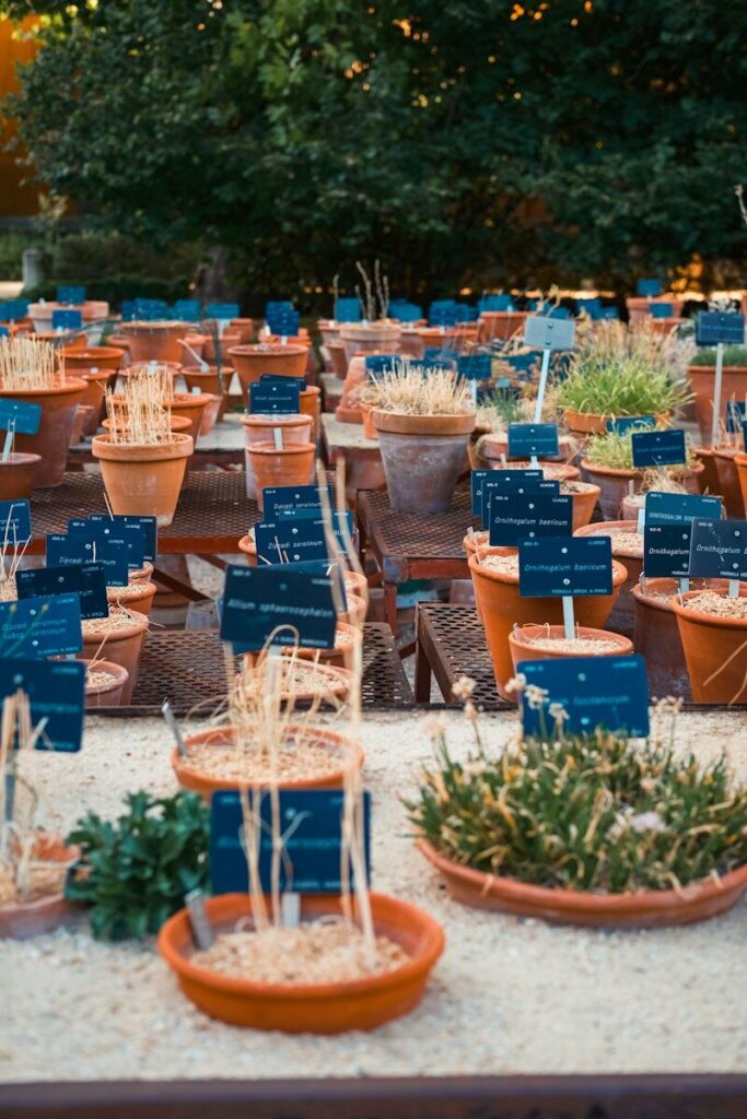 Macetas de vivero con etiquetas azules colgadas de las plantas